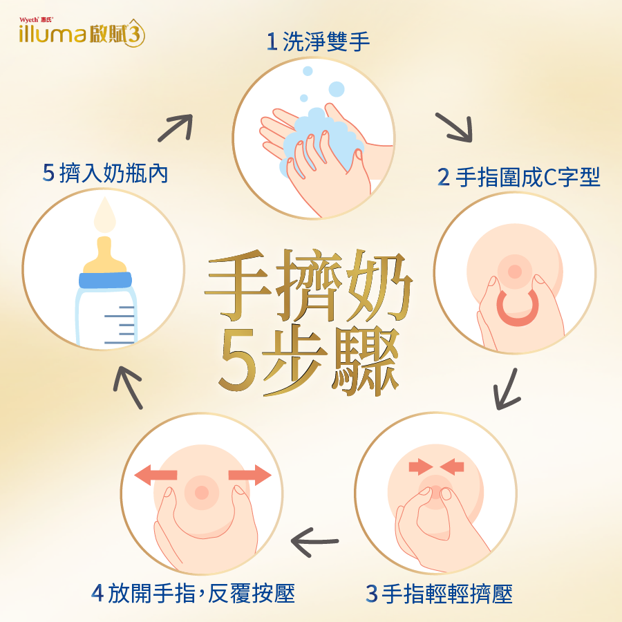 跟著擠奶5步驟,幫助媽媽順利分泌奶水。