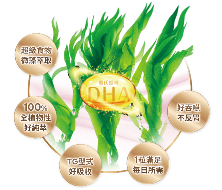 產品特色