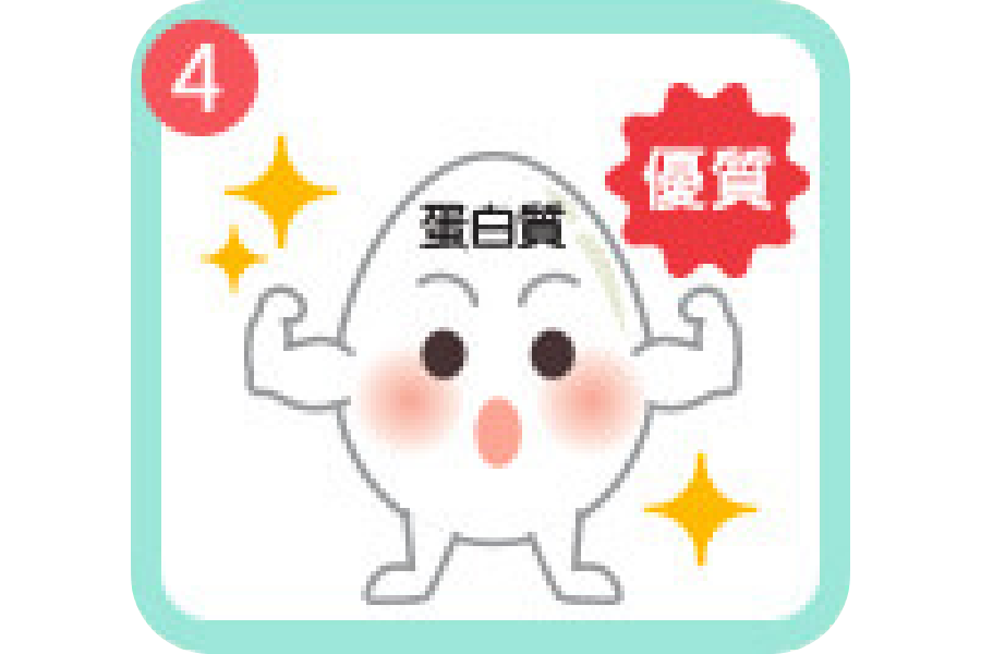 建立身體器官組織