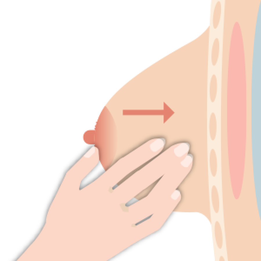 正確擠乳步驟二：從前段奶開始擠乳