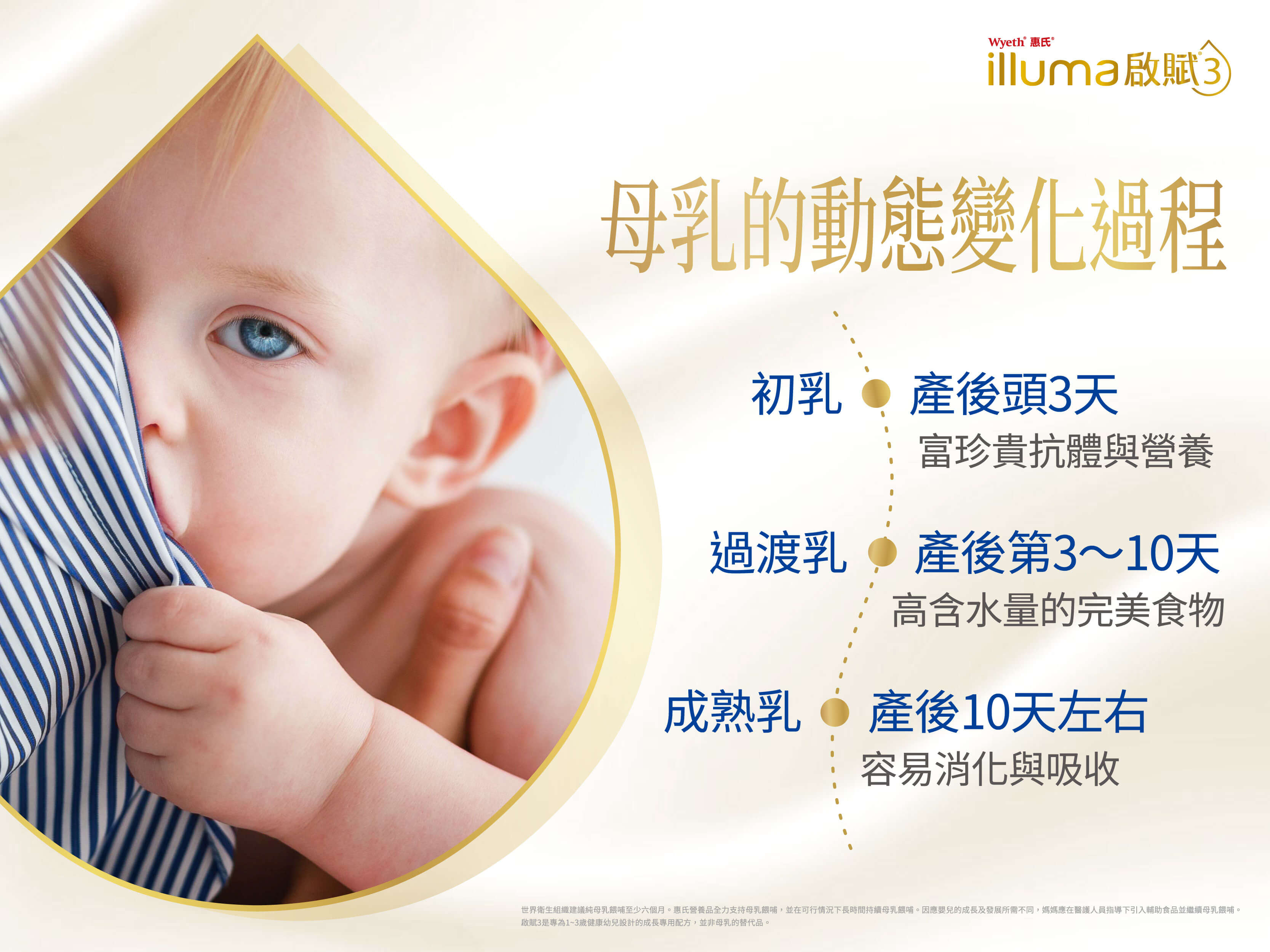 母乳的動態變化過程