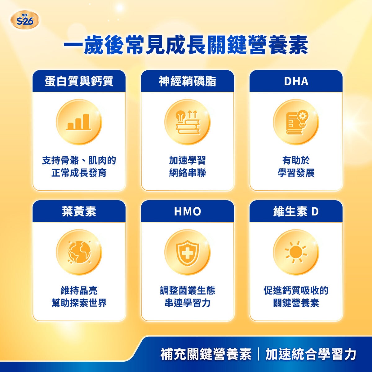 1–3 歲是寶寶成長與學習力發展的重要階段，挑食與食量不穩容易造成營養攝取不均。配方奶可補充蛋白質、DHA、鐵質與維生素 D 等關鍵營養，幫助骨骼、統合學習力發展