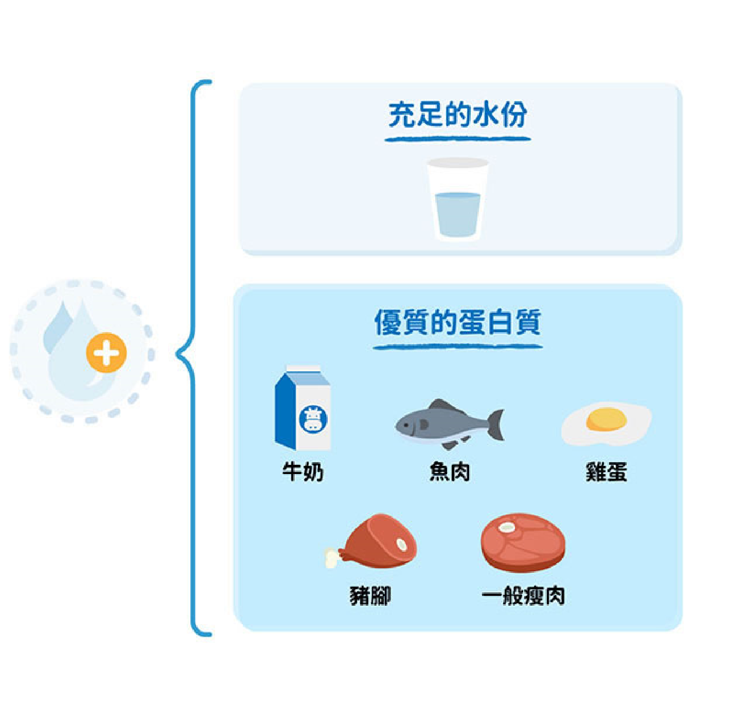 促進泌乳的發奶食物