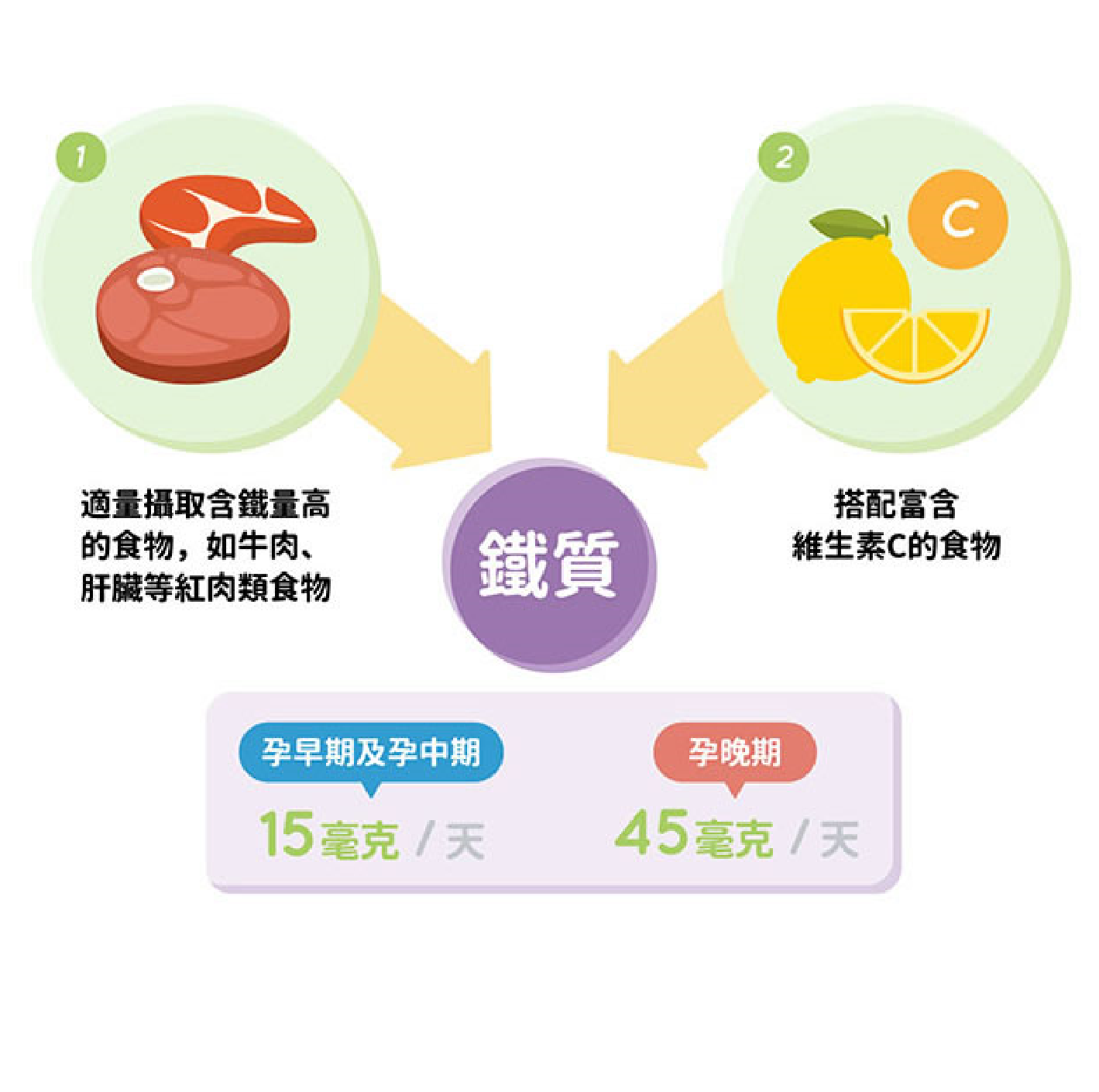 孕婦鐵質攝取量聽說對孕晚期特別重要，請問應該如何補充?
