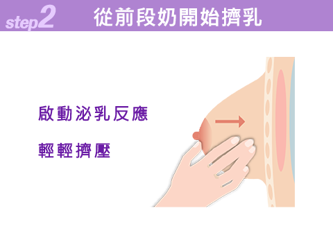 STEP2 從前段奶開始擠乳
