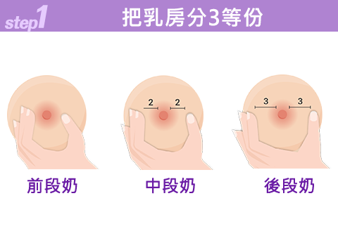 STEP1 把乳房分3等份
