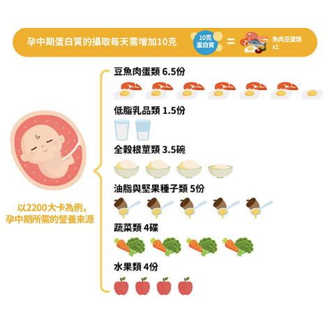 懷孕中期怎麼吃?-懷孕中期飲食原則是什麼?