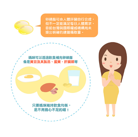 懷孕卵磷脂，孕期需要補充卵磷脂嗎？