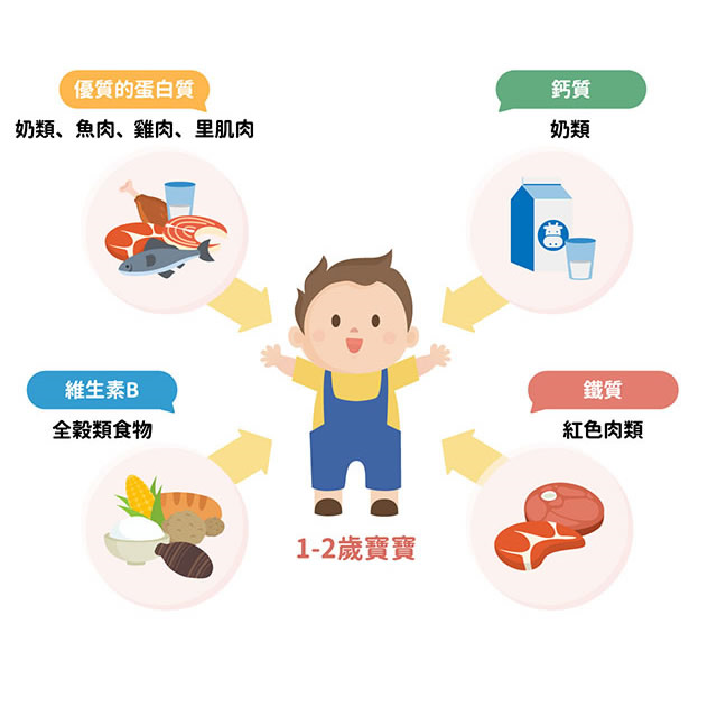 12-24個月寶寶這個階段需要特別注意什麼營養素嗎?