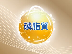 磷脂質