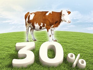 30%珍稀牛乳源