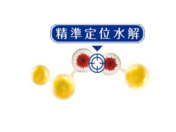精準定位水解技術