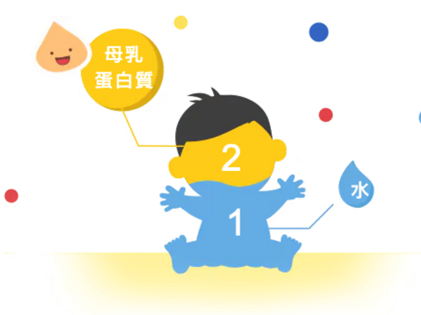 寶寶蛋白質