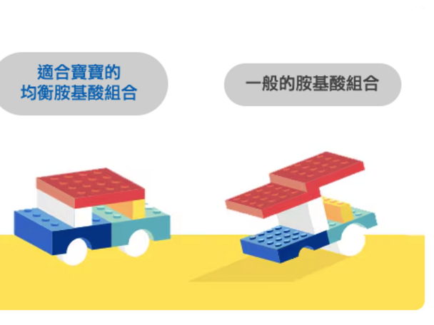 寶寶蛋白質