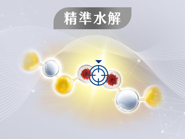 有感承襲 專利精準水解胜肽科技^4 有效調整體質
