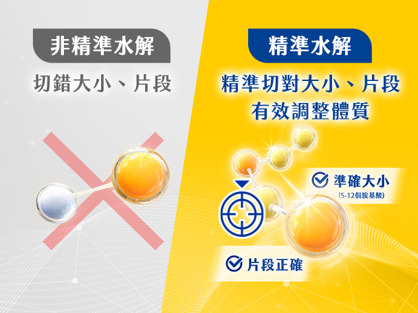 精準水解好消化+打底健康​